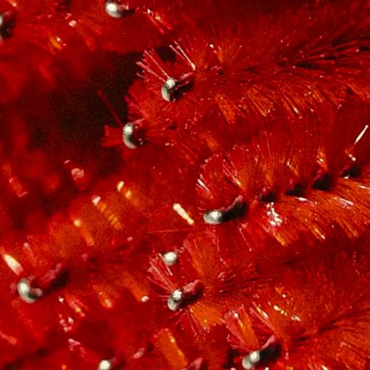 Lash-tastic Volume Package at Sol & Flower Lash Lounge in Zionsville, IN